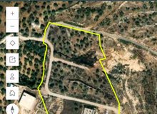 Mixed Use Land for Sale in Nablus Asira Ash-Shamaliya