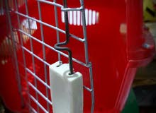 بوكس قط للبيع بوكس قط للبيع