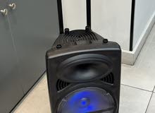 Speaker With Microphone