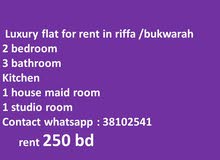 flat for rent in riffa