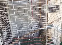 bird cage with all the accesories