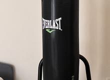 Everlast Punching Bag with steel stand