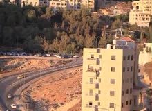 الوسيط ضياء