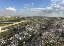ارض شفا بدران بجانب ترخيص شمال عمان 500 متر مرج الفرس