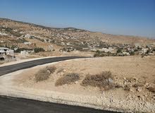 Residential Land for Sale in Zarqa Birayn