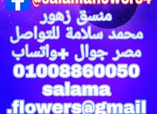 منسق زهور وتغليف الهدايا منسق زهور وتغليف الهدايا