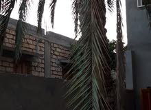 نخل تمور برونسي نخل تمور برونسي