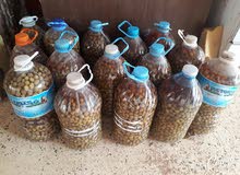 زيتون اخضر مخلل جاهز للأكل زيتون اخضر مخلل جاهز للأكل