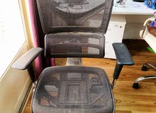 Ergonomic Chair