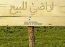 أرض للبيع الدار البيضاء أرض للبيع الدار البيضاء