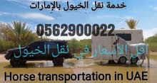 نقل خيول نقل خيول