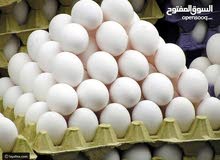 بيض بلدي فيومي مخصب بإذن الله تعالى بيض بلدي فيومي مخصب بإذن الله تعالى