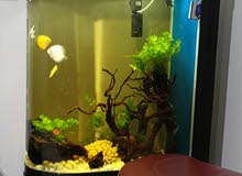 kakei Aquarium kakei Aquarium