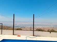 Farm Land for Sale in Salt Kafr Hooda
