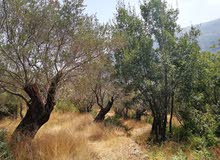 land for sale land for sale