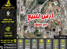 رقم الاعلان (2352) أرض مميزة للبيع في منطقة رجم عميش خلف تل الصنوبر