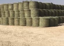يوجد اعلاف للبيع يوجد اعلاف للبيع