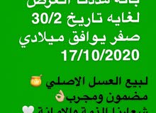 عسل نحله عسل نحله