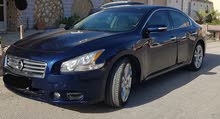 Nissan Maxima 2014 for sale