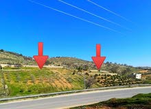 Mixed Use Land for Sale in Amman Birayn