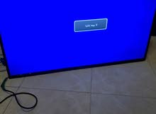 Tiger Other 43 inch TV in Amman