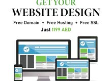 Professional Website Design Services Professional Website Design Services