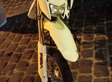 peda italy peda italy
