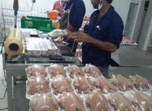 Need slaughterhouse worker experience residing in the Sultanate of Oman to work Need slaughterhouse worker experience residing in the Sultanate of Oman to work