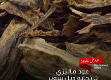 عود طبيعي ماليزي ترنجانو عود طبيعي ماليزي ترنجانو