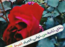 مطلوب مصوره في ستوديو عرائس مطلوب مصوره في ستوديو عرائس