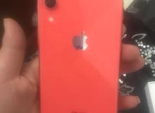 ايفون XR ايفون XR