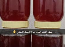 عسل سدر اصلي عسل سدر اصلي
