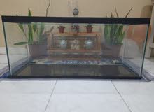 Fish Tank 100cm Brand New (Big Aquarium) Fish Tank 100cm Brand New (Big Aquarium)