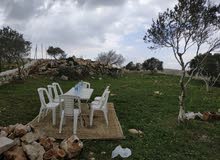 Mixed Use Land for Sale in Nablus Asira Ash-Shamaliya