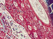 زوليه درجه اولى زوليه درجه اولى