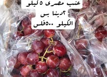 خضار طازج نوصلك لحد بيتك خضار طازج نوصلك لحد بيتك