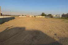 Residential Land for Sale in Jericho Al-Auja
