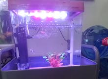 Aquarium/fish tank Aquarium/fish tank