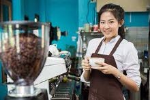 looking for barista looking for barista