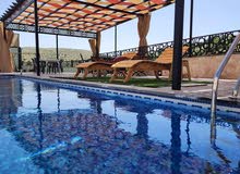 مزرعة وشاليه الغزال / الاردن - عمان - بيرين - صروت
