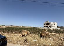 السلط/ السرو الجنوبي دونم 1