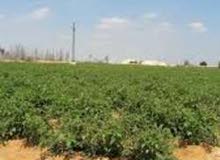 موقع 1 لبيع العقارات في مصر ارض زراعية للبيع قطعة ارض للبيع افضل الاسعار