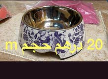 قطط و كلاب قطط و كلاب