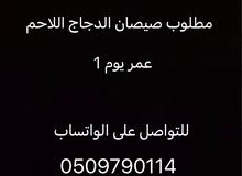 دجاج لاحم دجاج لاحم