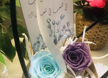 هدية ورد دائم(يعيش 3 سنين)(طبييعي 100٪) هدية ورد دائم(يعيش 3 سنين)(طبييعي 100٪)