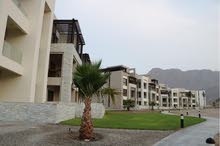شقة بغرفة نوم في جبل سيفة مسقط  1BHK Apartment in Jebel Sifah, Muscat