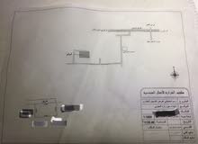 قطع في قرقور المشتل النجمة الخارجي عين زارة قطع في قرقور المشتل النجمة الخارجي عين زارة