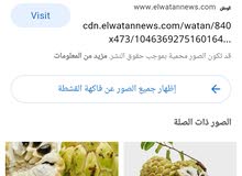 ابحت عن فاكهة القشطة اليمني ابحت عن فاكهة القشطة اليمني