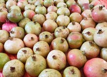 رمان الجبل الاخضر رمان الجبل الاخضر