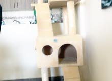 very clean cat tree almost new very clean cat tree almost new